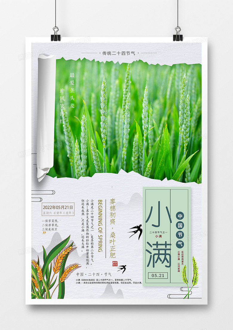 清新二十四节气小满海报