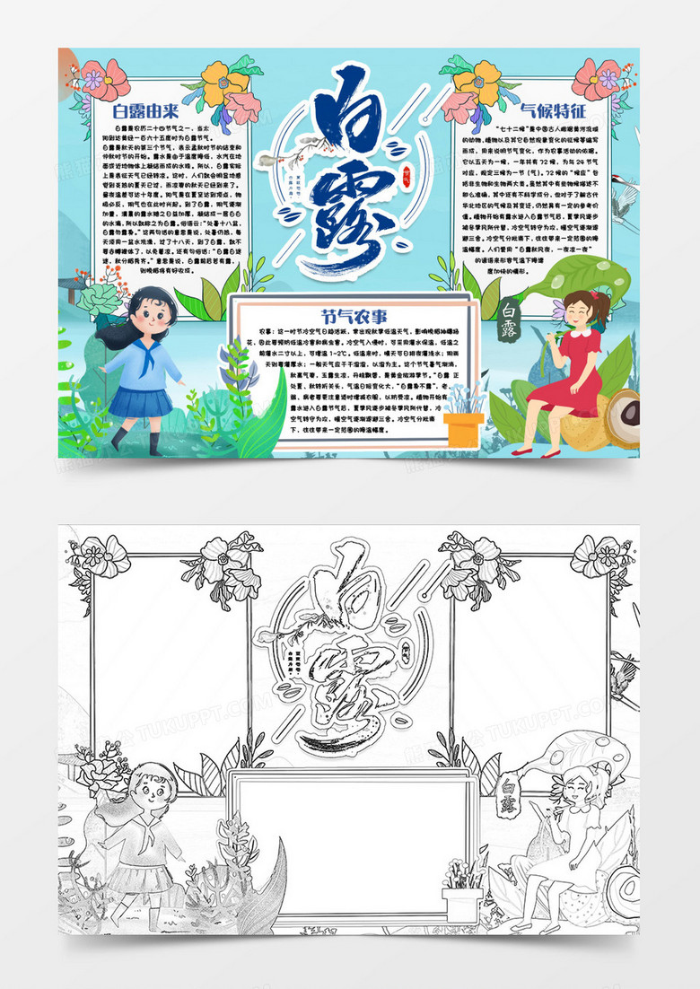 白露节气小报手抄报word模版