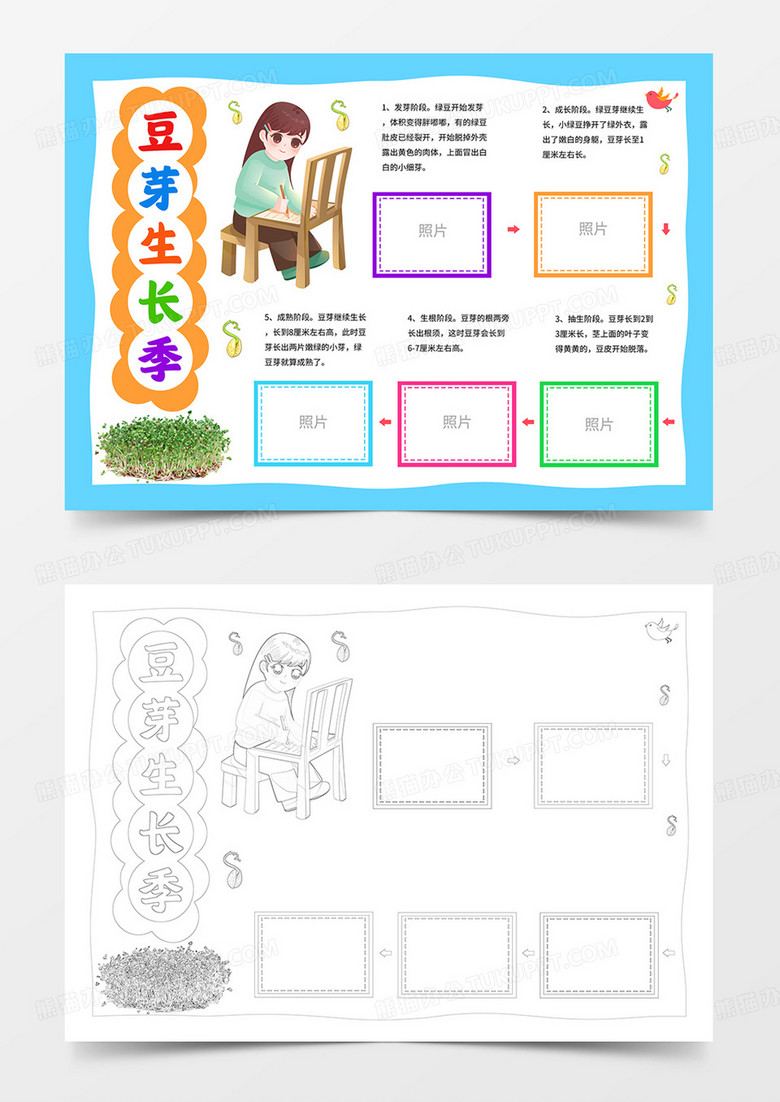 卡通豆芽生长记手抄报植物记录卡小报