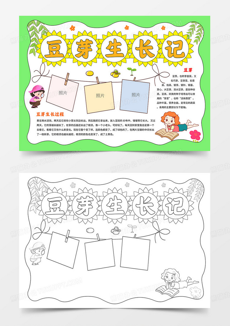 卡通清新豆芽生长记小报植物记录卡线描模板
