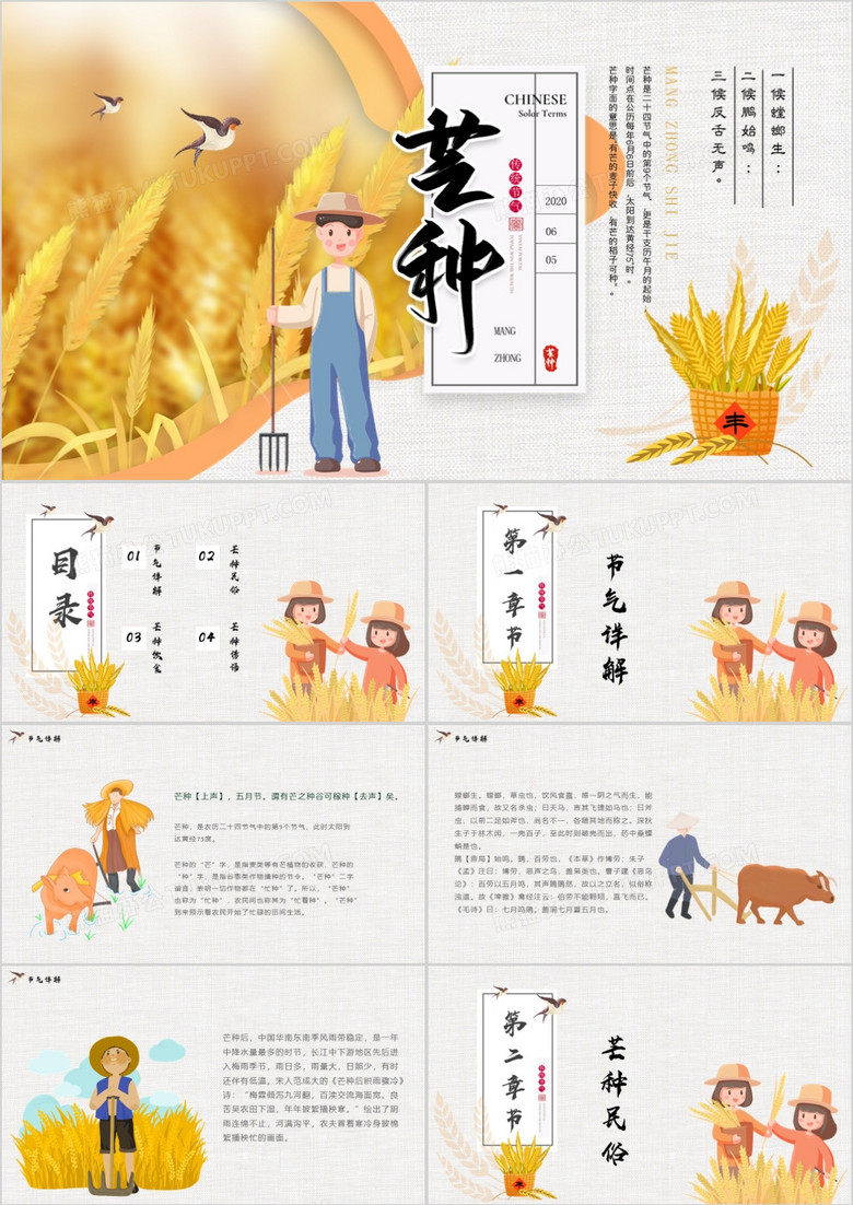 二十四节气之芒种PPT模版