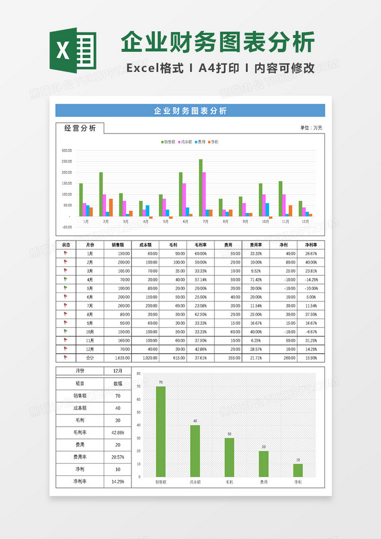 企业财务图表分析Excel模板