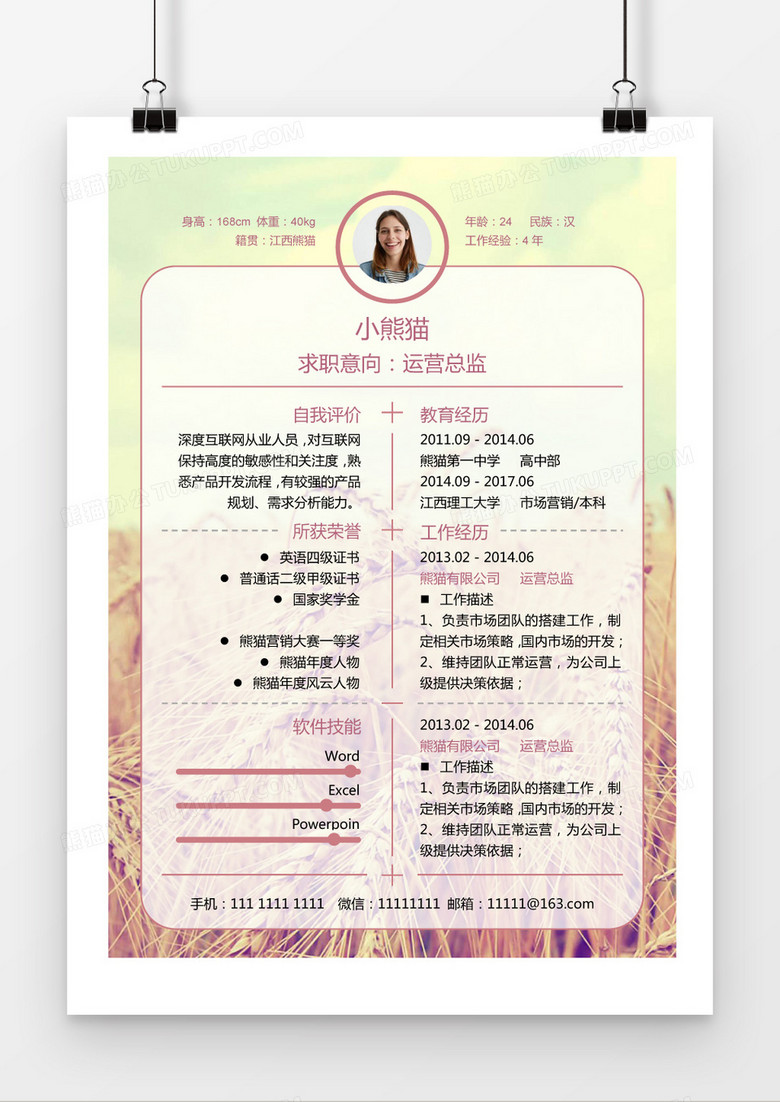 简约经典麦田粉色运营总监简历求职简历Word模板