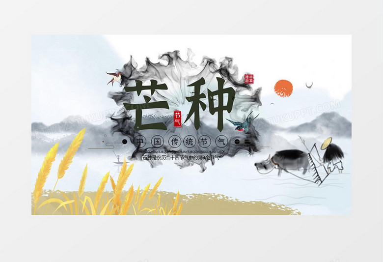 二十四节气民俗文化芒种AE模板