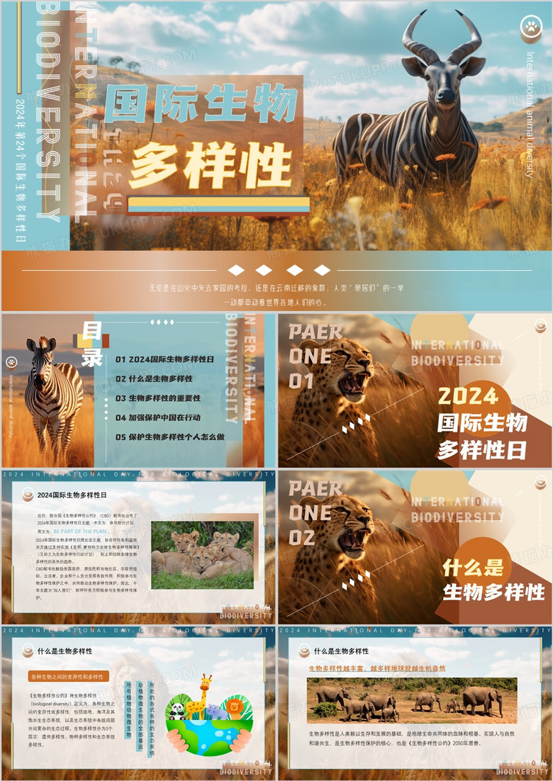 蓝棕色插画风国际生物多样性PPT模板