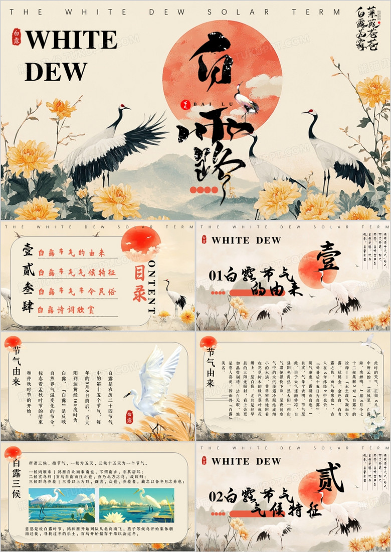 黄色中国风二十四节气之白露PPT模板