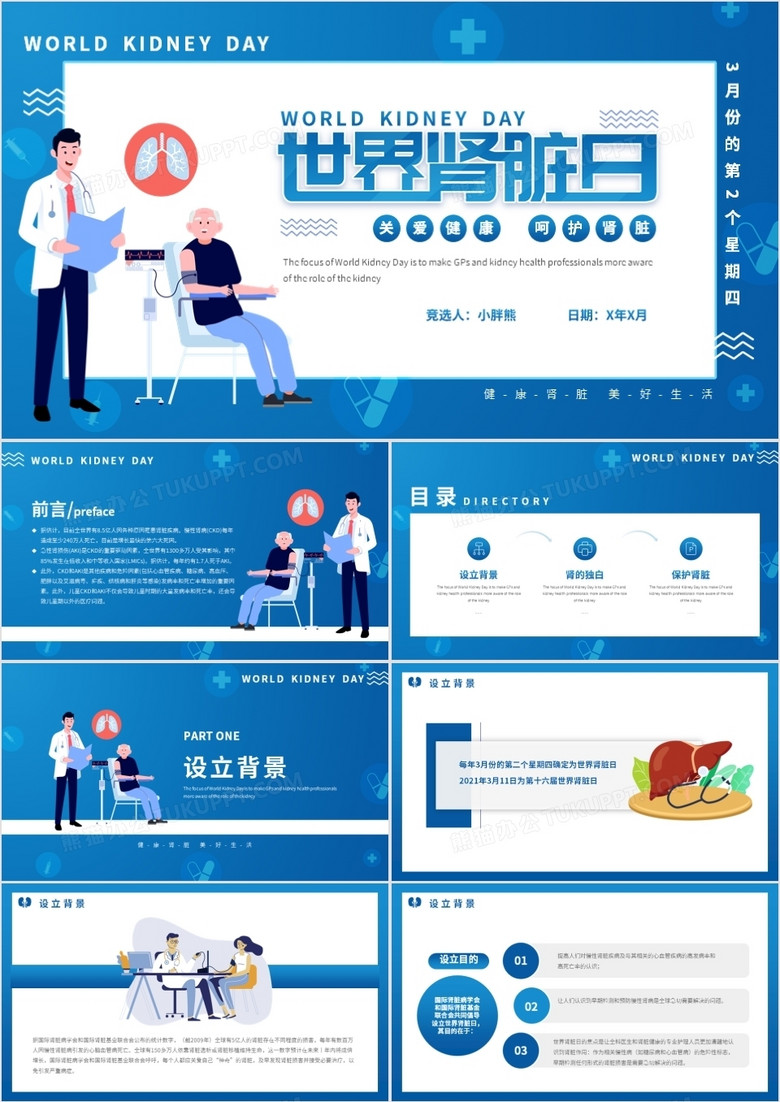 蓝色卡通简约世界肾脏日宣传教育PPT模板