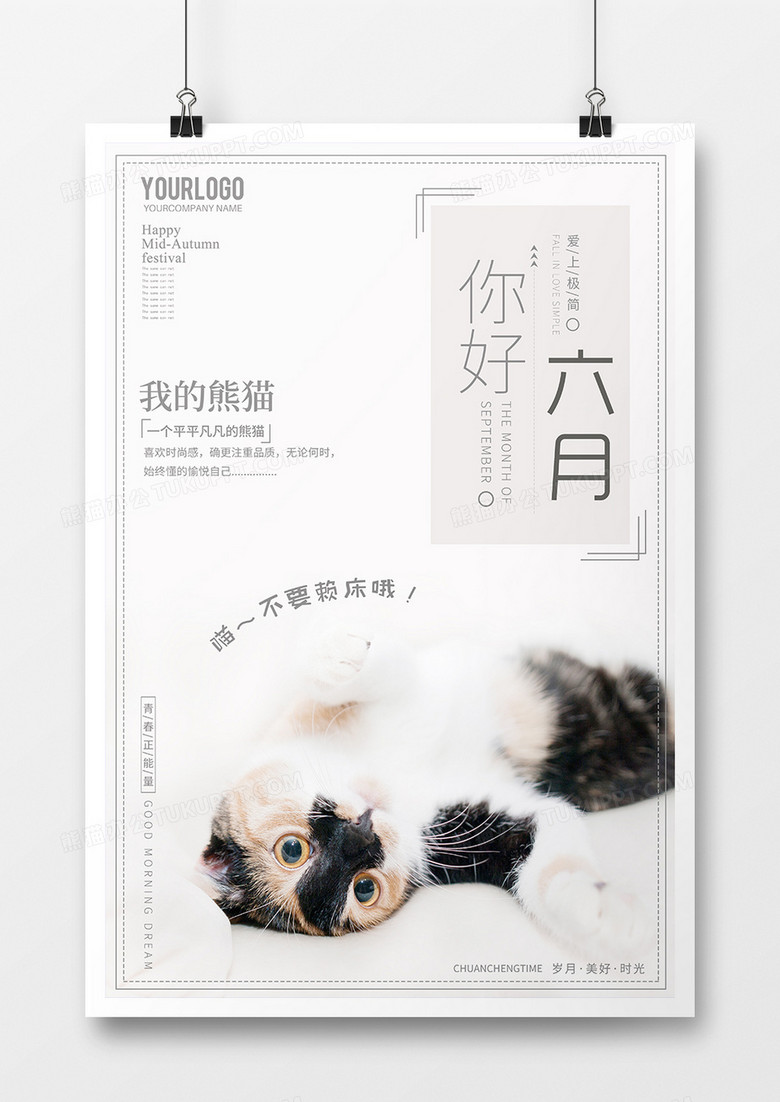 小猫照片问候6月的到来