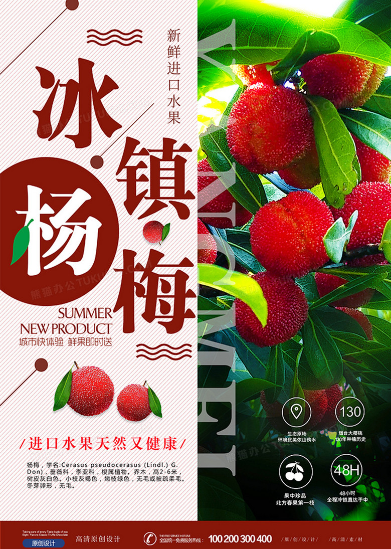 创意时尚简约美味冰镇杨梅海报设计
