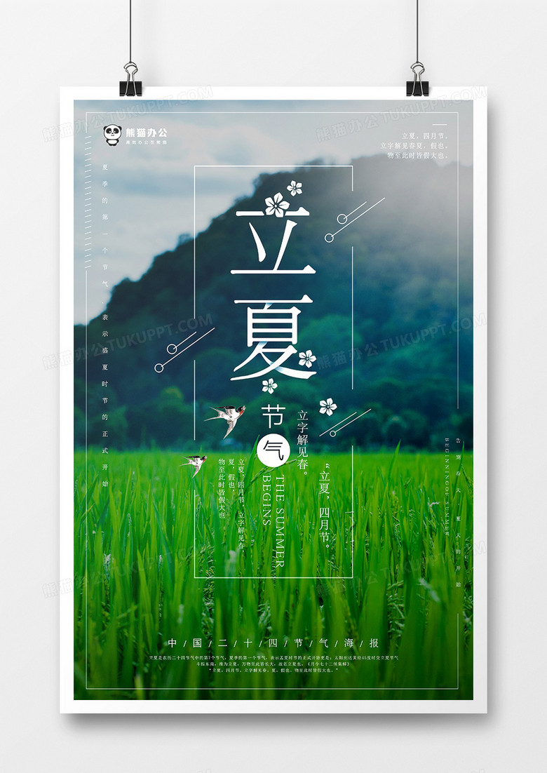 中国传统二十四节气立夏海报模板设计psd