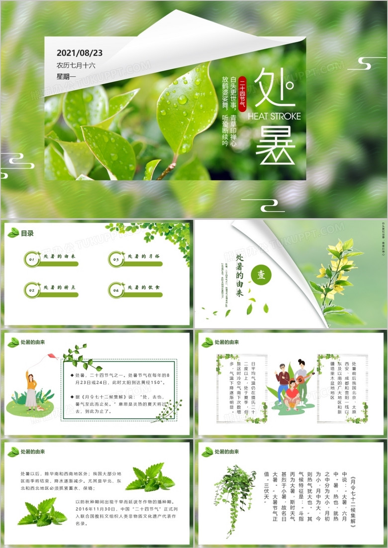 绿色小清新中国传统节日二十四节气处暑节日介绍PPT模板