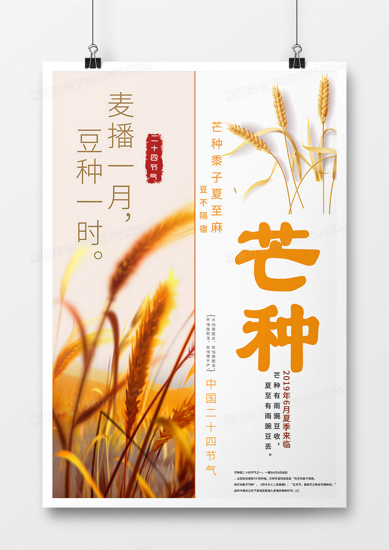 夏日二十四节气芒种海报