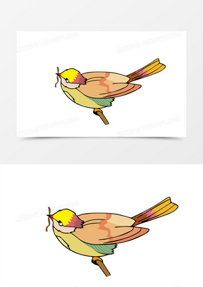 卡通小鸟虫子图片