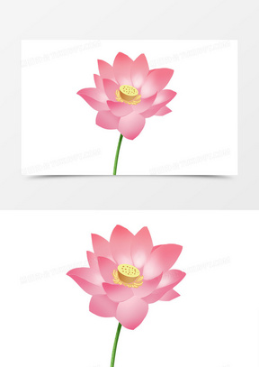 手绘卡通风立夏粉色荷花元素