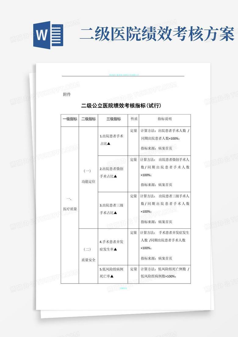 二级公立医院绩效考核指标(试行)world文档