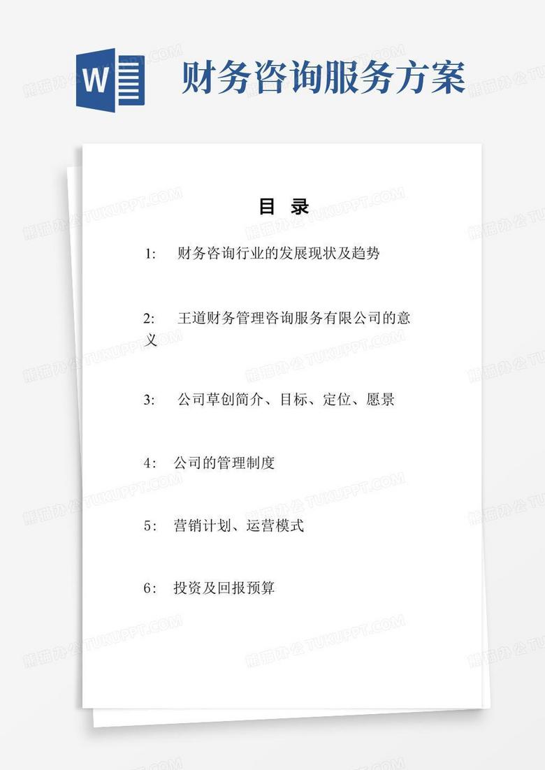 王道财务管理咨询公司方案初稿