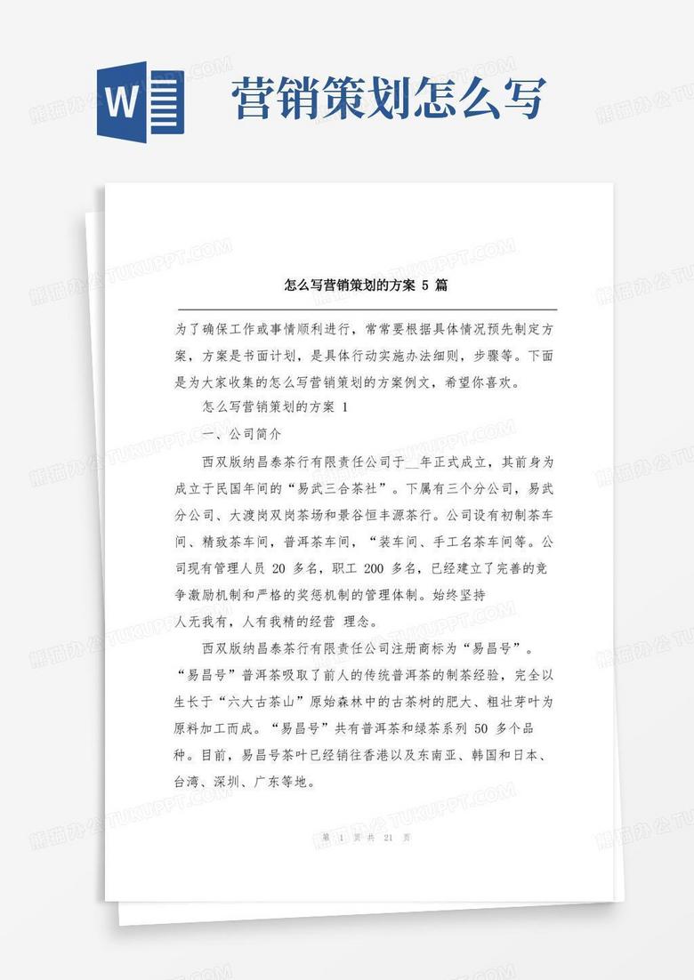 怎么写营销策划的方案5篇