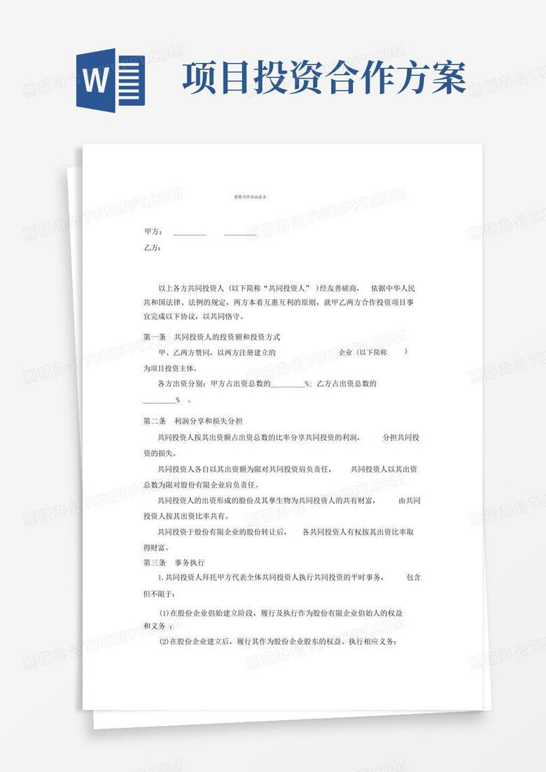 某项目投资合作方案模板