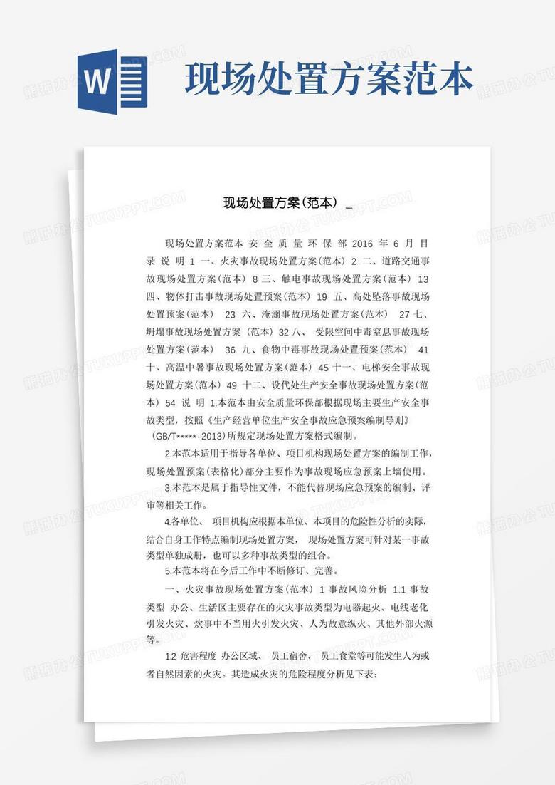 现场处置方案(范本)_