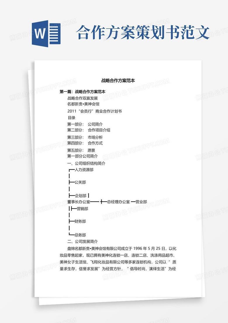 战略合作方案范本