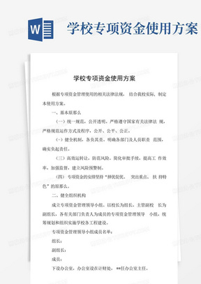 学校专项资金使用方案