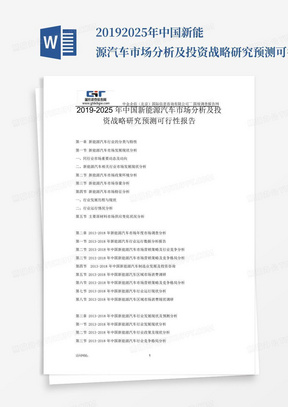 2019-2025年中国新能源汽车市场分析及投资战略研究预测可行性报告_百...