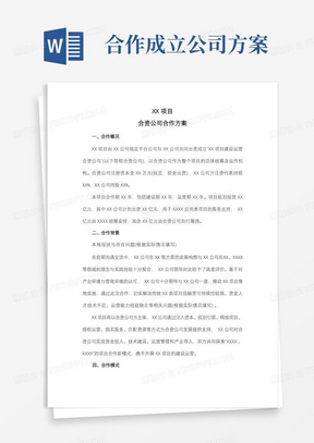 XX项目合资公司合作方案