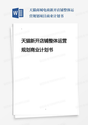 天猫商城电商新开店铺整体运营规划项目商业计划书-