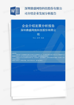 深圳鼎盛网络科技股份有限公司介绍企业发展分析报告-