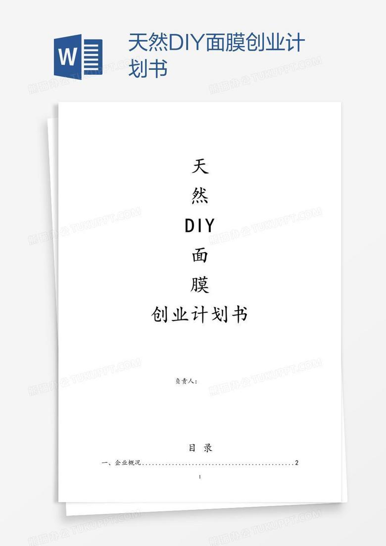 天然DIY面膜创业计划书