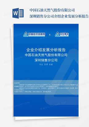 中国石油天然气股份有限公司深圳销售分公司介绍企业发展分析报告_...