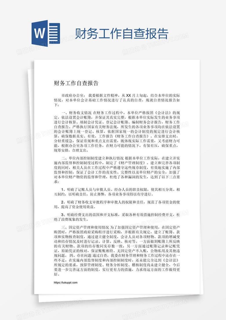 财务工作自查报告