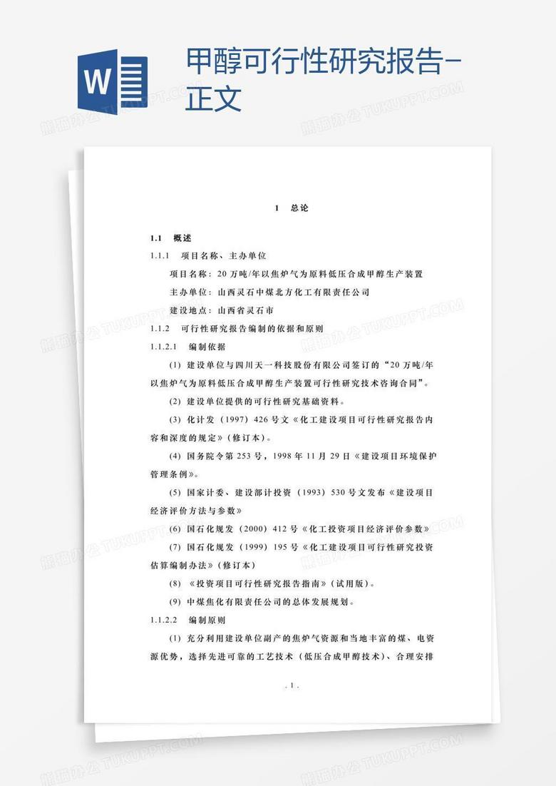 甲醇可行性研究报告-正文