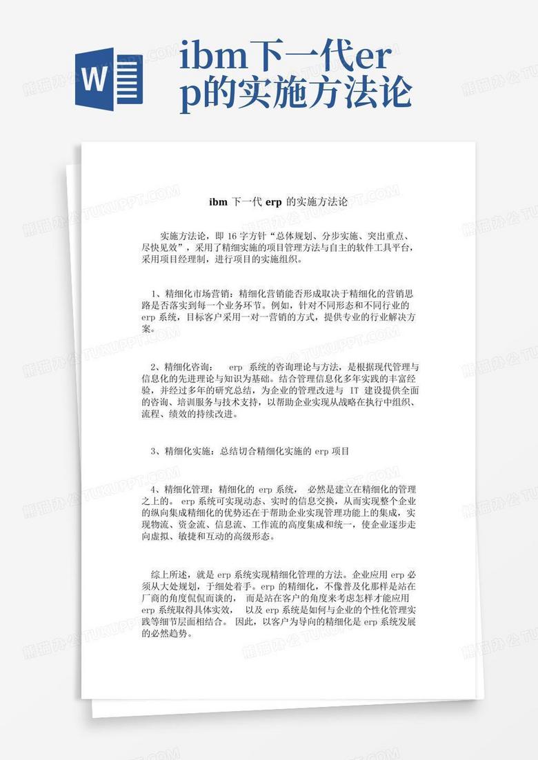 ibm下一代erp的实施方法论Word模板下载_编号qadvxden_熊猫办公