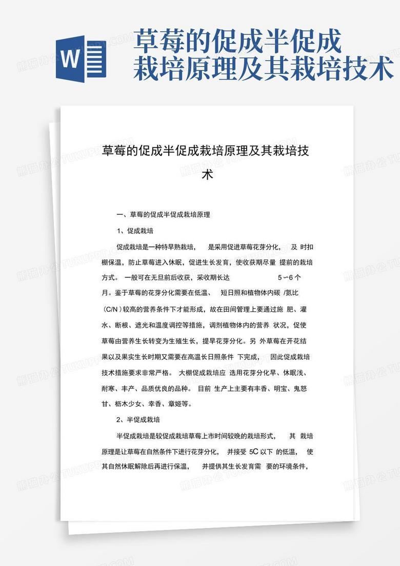草莓的促成半促成栽培原理及其栽培技术Word模板下载_编号qdxpmvye_熊猫办公