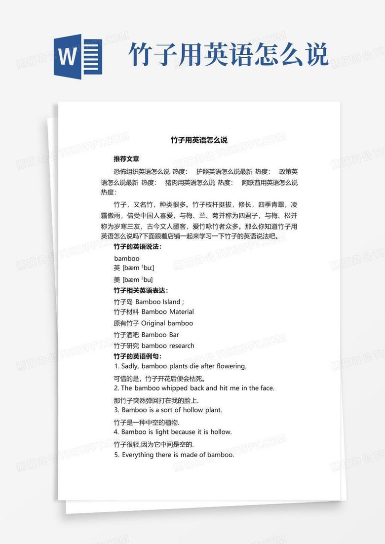 竹子用英语怎么说Word模板下载_编号ladepeke_熊猫办公