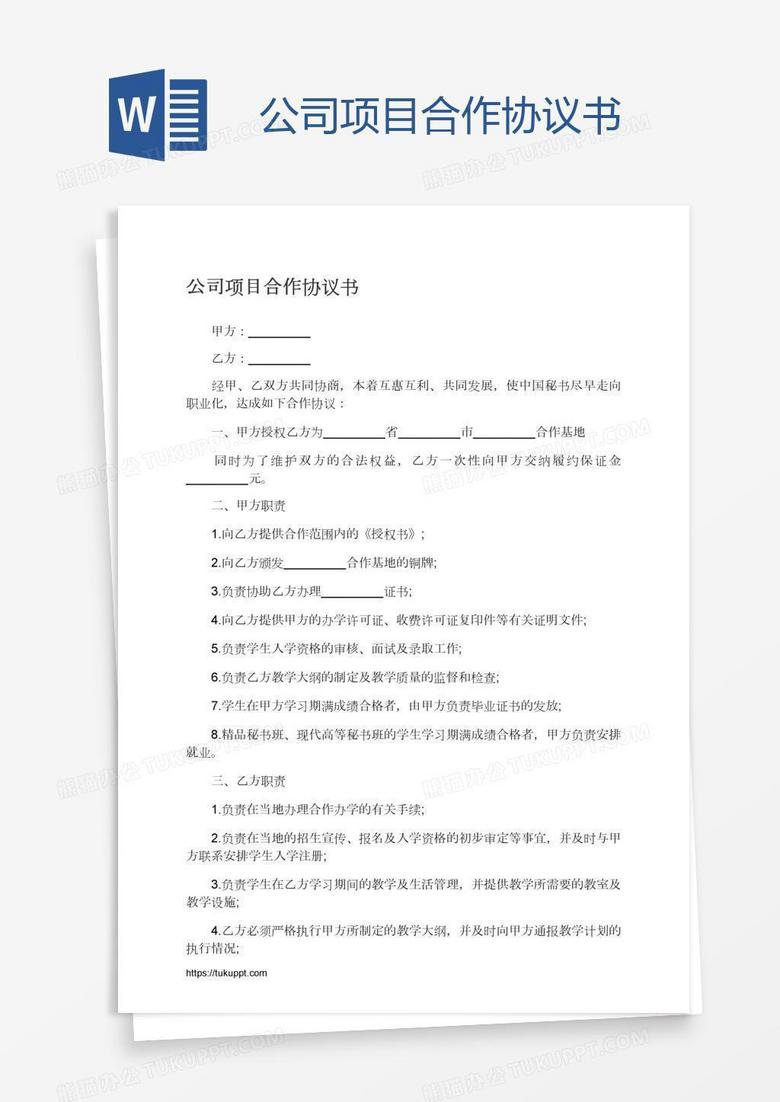 公司项目合作协议书