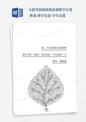 小提琴初级班集体课教学计划·教案·教学反思·学生反馈