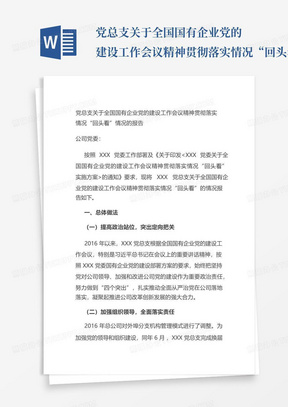 党总支关于全国国有企业党的建设工作会议精神贯彻落实情况“回头看