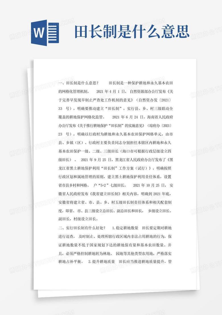 田长制是什么意思Word模板下载 编号qxygzgba 熊猫办公