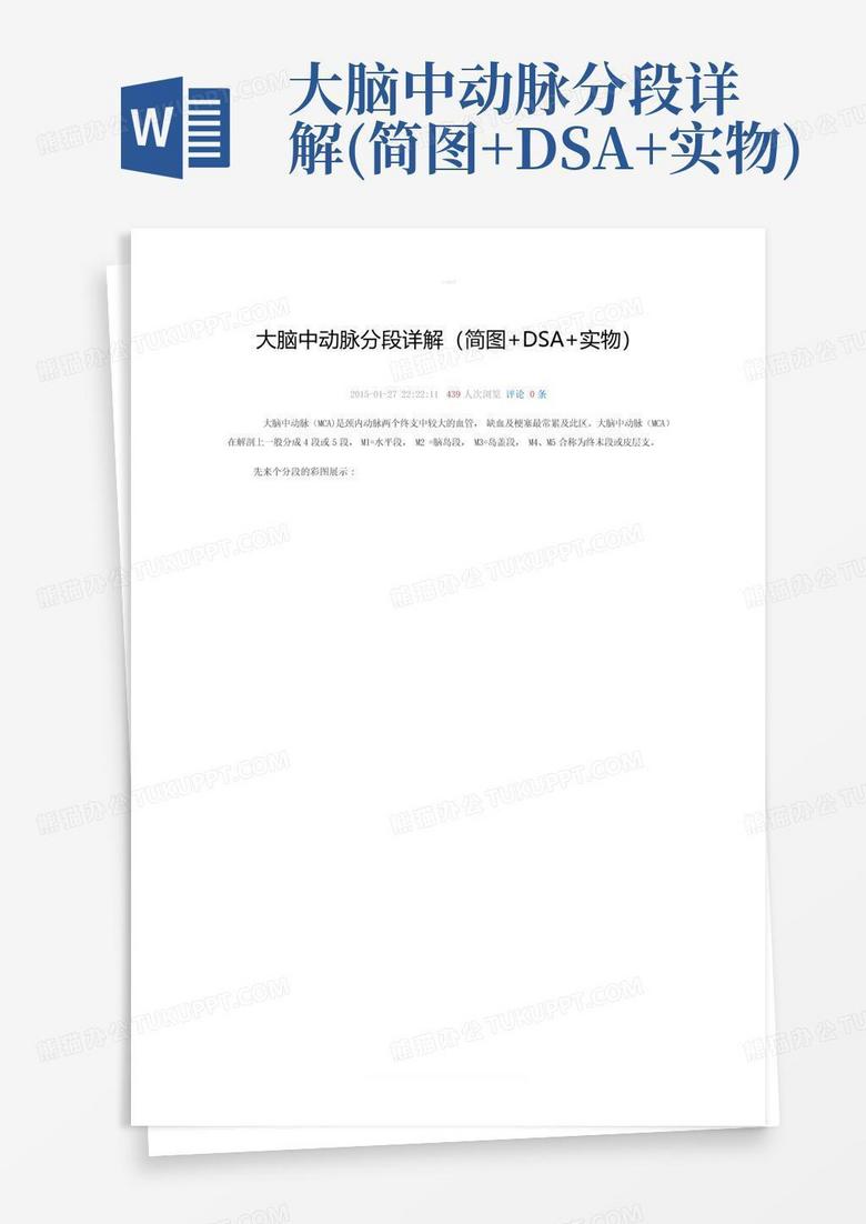 大脑中动脉分段详解(简图+dsa+实物)Word模板下载_编号lgbanpmp_熊猫办公