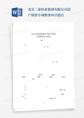 北京三泰恒业集团有限公司清产核资专项财务审计报告