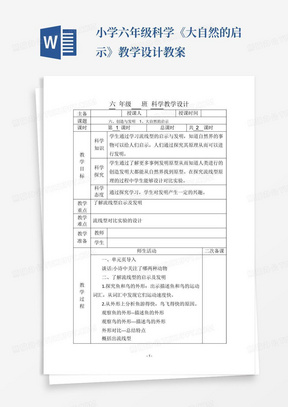 小学六年级科学《大自然的启示》教学设计教案