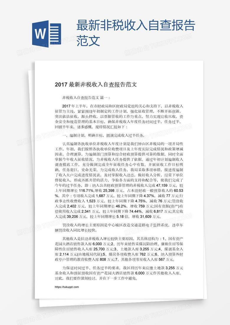 最新非税收入自查报告范文