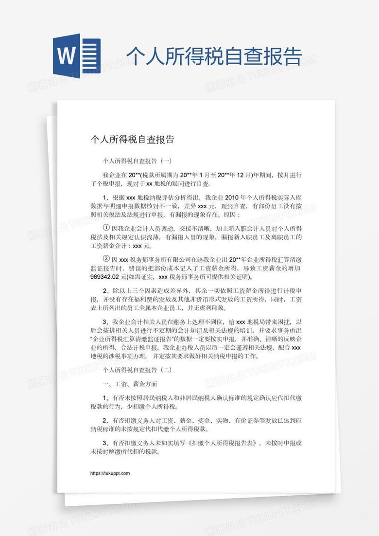 个人所得税自查报告