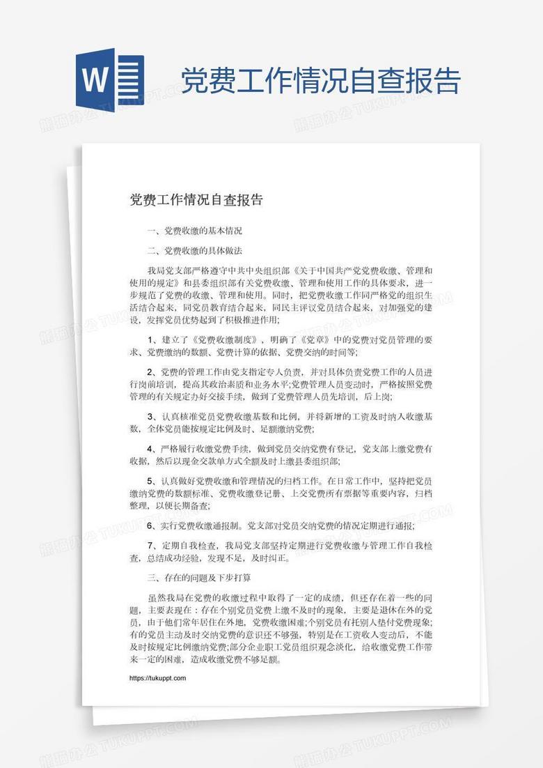 党费工作情况自查报告