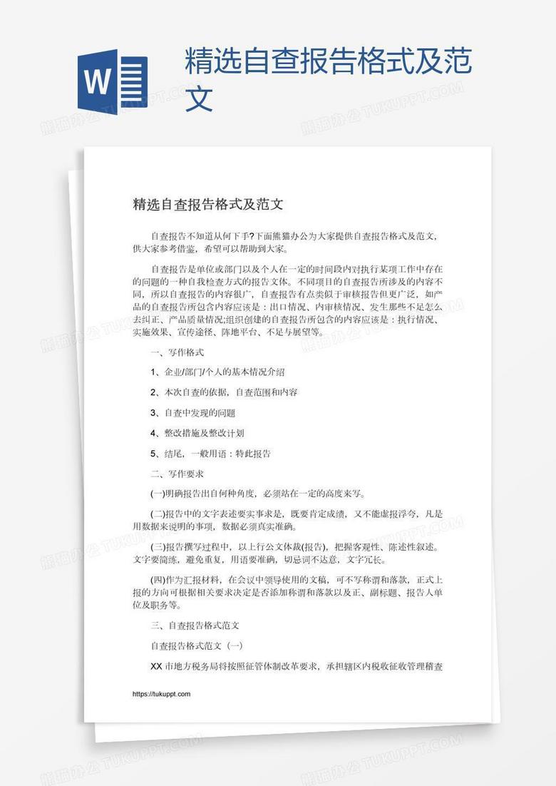 精选自查报告格式及范文