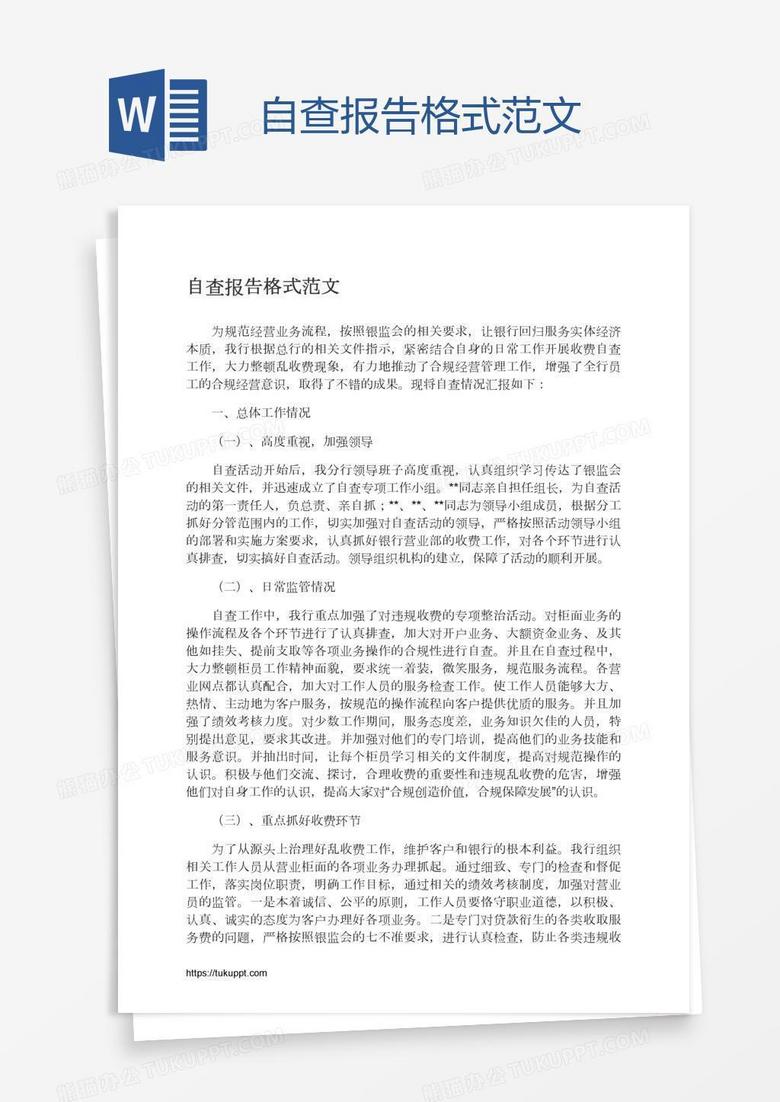 自查报告格式范文