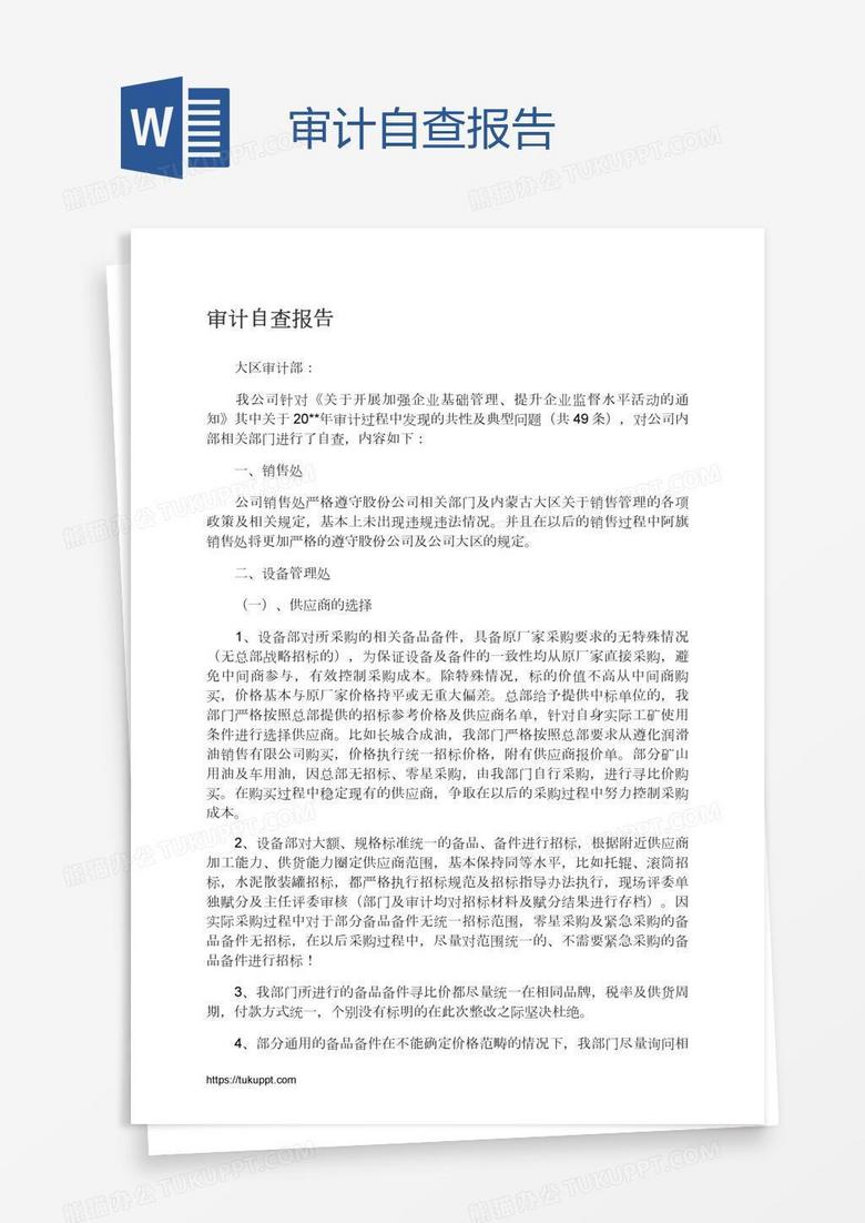 审计自查报告