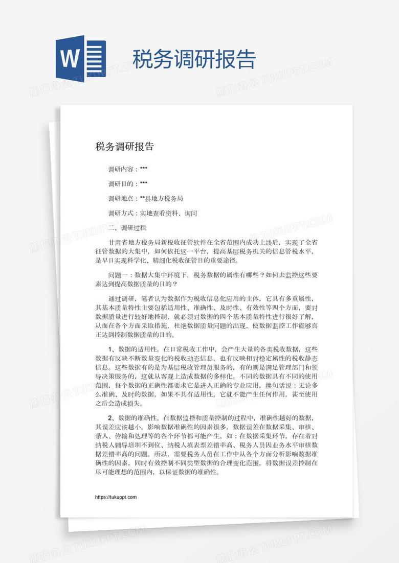 税务调研报告